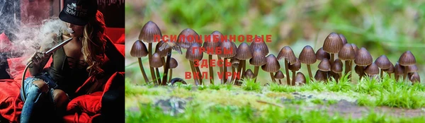 PSILOCYBIN Наволоки