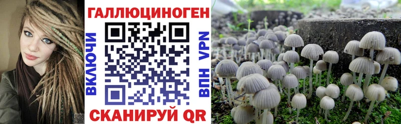 Галлюциногенные грибы Cubensis  Томск 